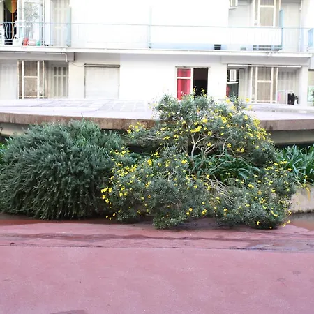 Le Grand Sud *